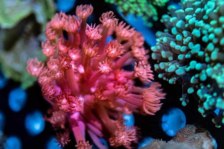 Freshwater Fish Store  Palm Bay