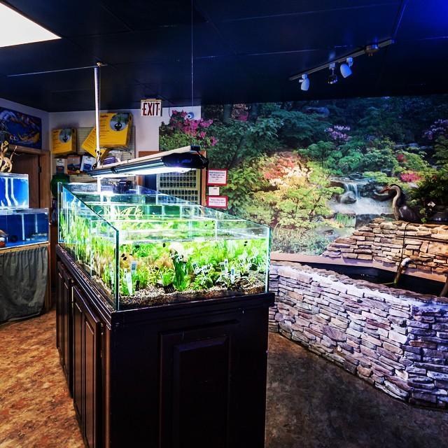 Pond Supplies Melbourne